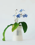 HANAIRE SELF-WATERING & AIR PRUNING PLANTER - VerdiPot