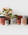 LINA SELF-WATERING & AIR PRUNING PLANTER - SAND - VerdiPot