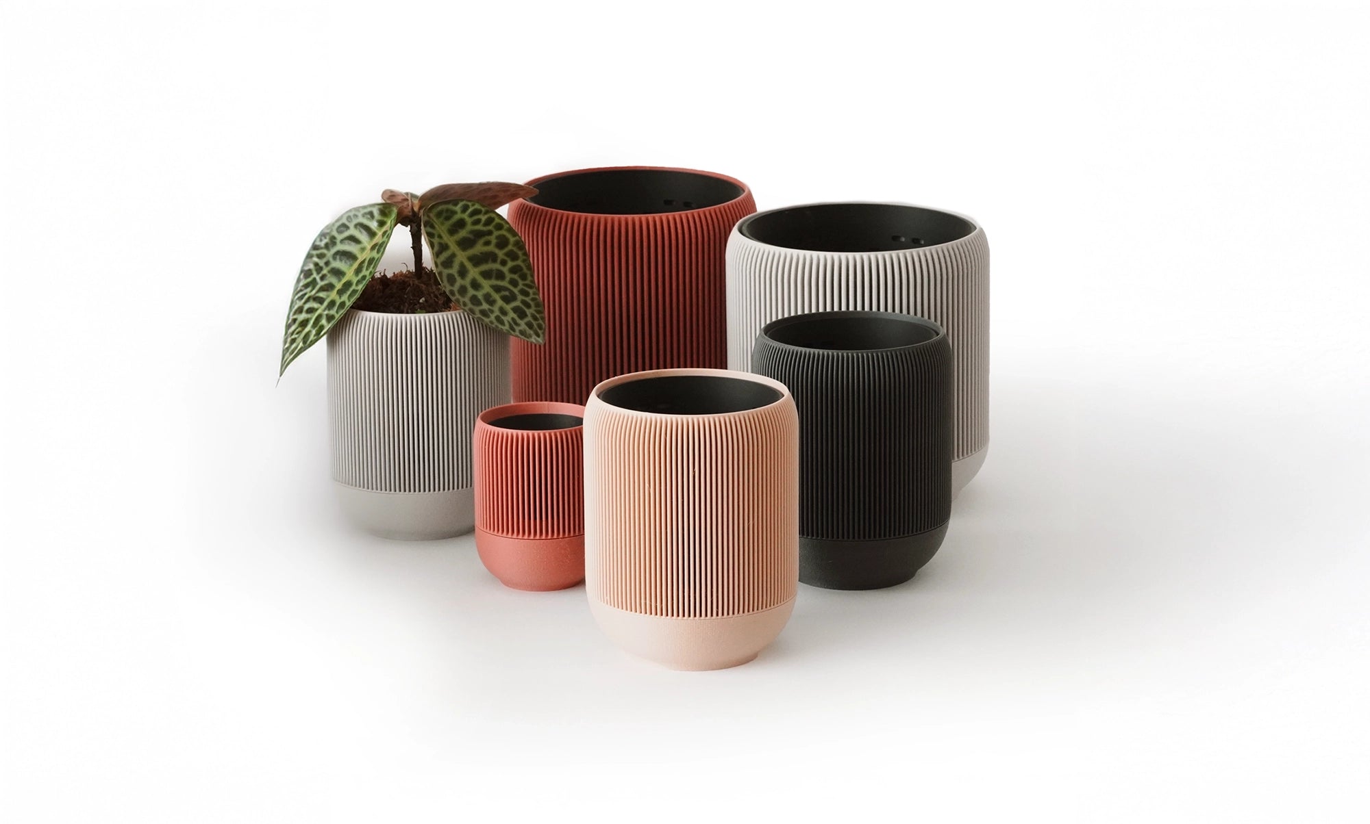 Collection Image