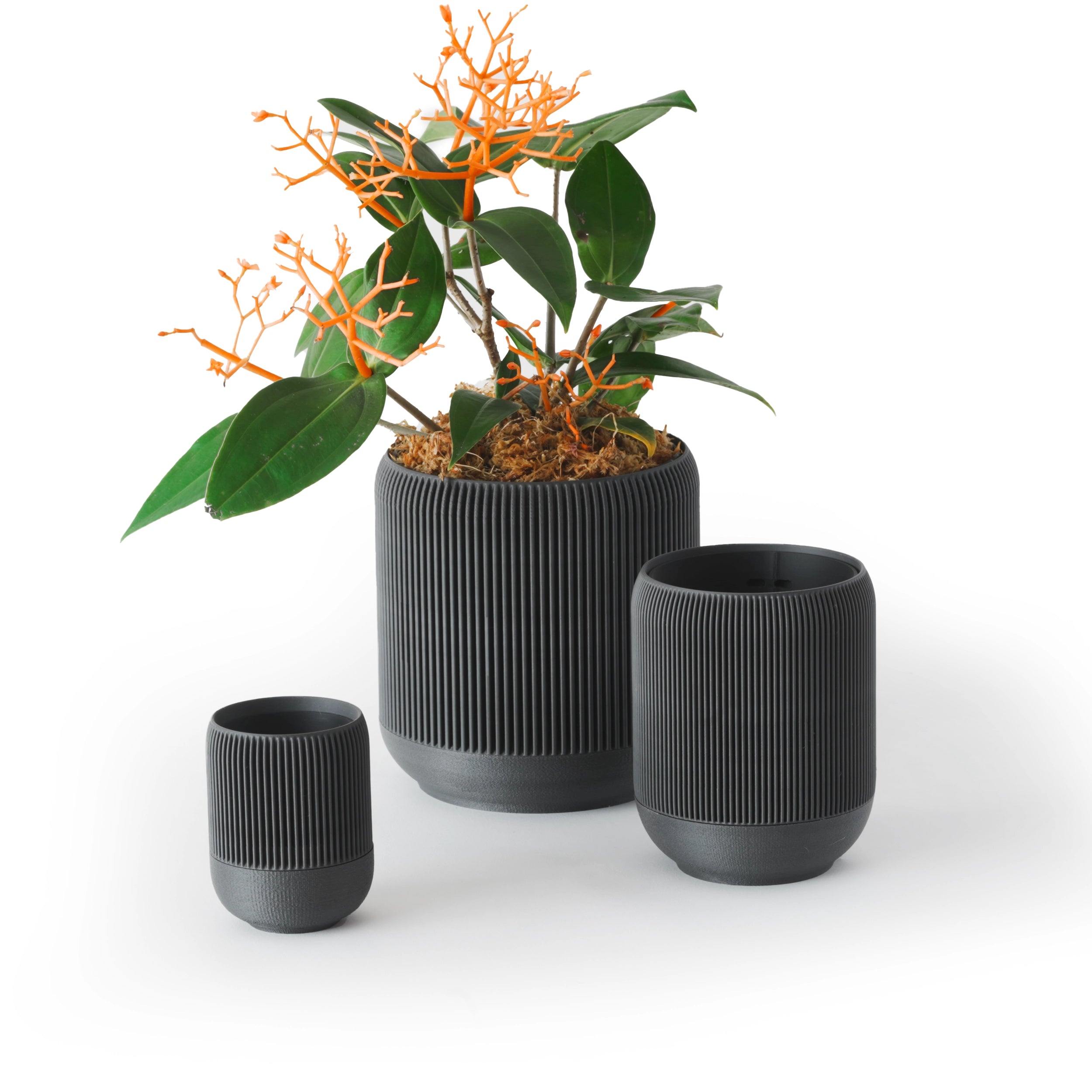 LINA SELF-WATERING & AIR PRUNING PLANTER - CHARCOAL - VerdiPot