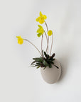 CLOUD SELF-WATERING WALL MOUNT PLANTER - VerdiPot