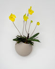 CLOUD SELF-WATERING WALL MOUNT PLANTER - VerdiPot