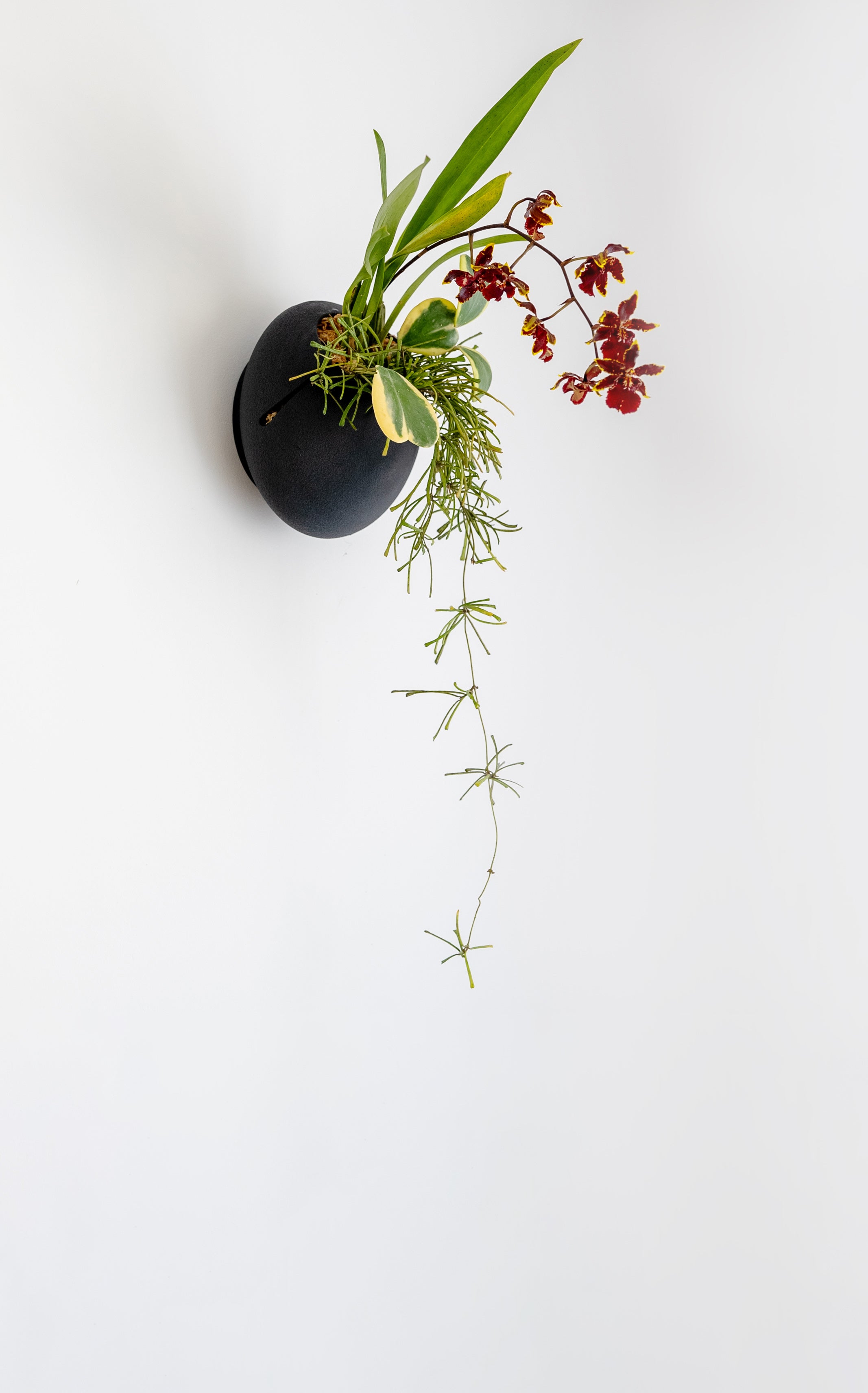 CLOUD SELF-WATERING WALL MOUNT PLANTER - VerdiPot