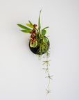 CLOUD SELF-WATERING WALL MOUNT PLANTER - VerdiPot