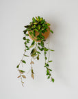 CLOUD SELF-WATERING WALL MOUNT PLANTER - VerdiPot