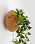 CLOUD SELF-WATERING WALL MOUNT PLANTER - VerdiPot