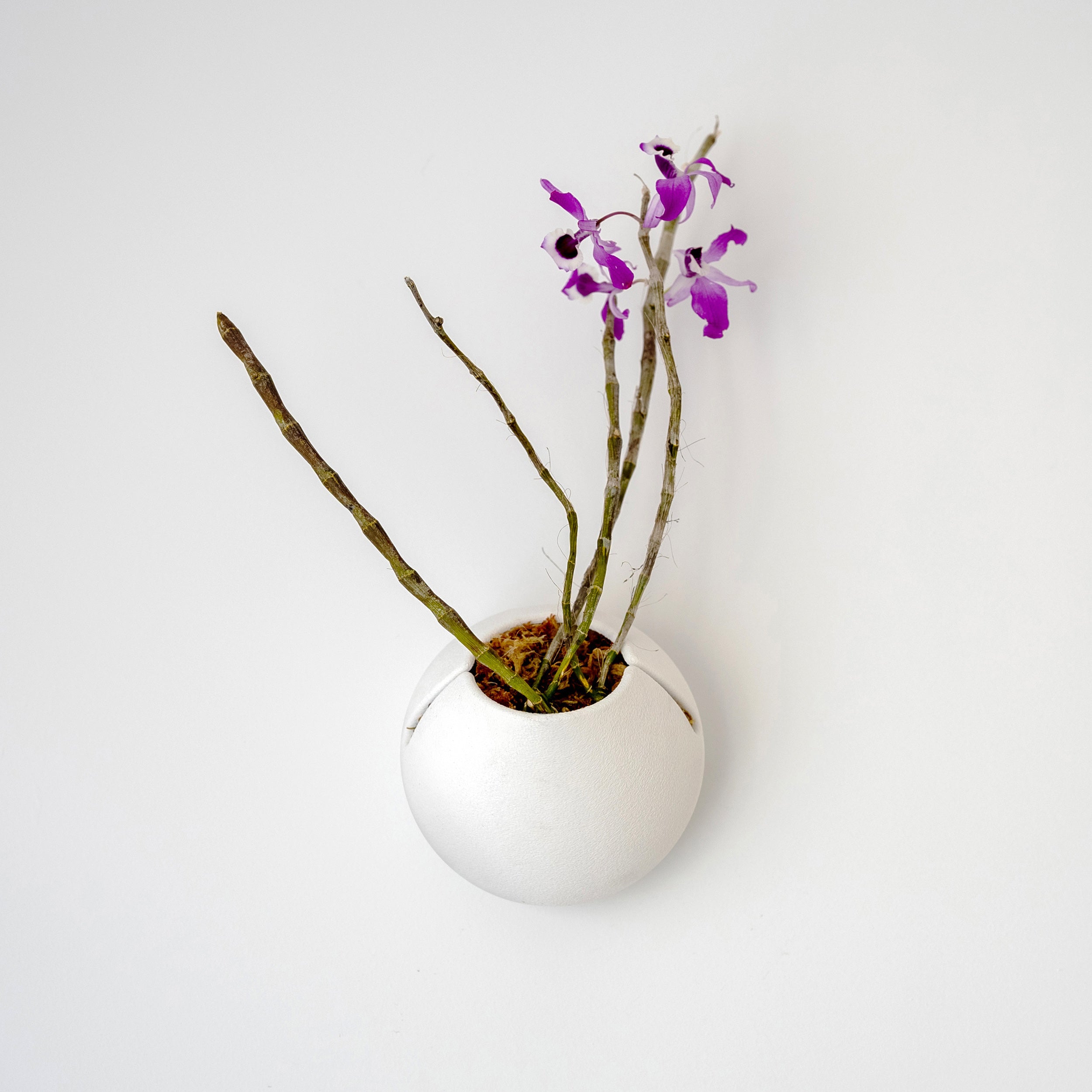 CLOUD SELF-WATERING WALL MOUNT PLANTER - VerdiPot