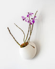 CLOUD SELF-WATERING WALL MOUNT PLANTER - VerdiPot