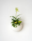 CLOUD SELF-WATERING WALL MOUNT PLANTER - VerdiPot
