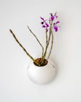 CLOUD SELF-WATERING WALL MOUNT PLANTER - VerdiPot