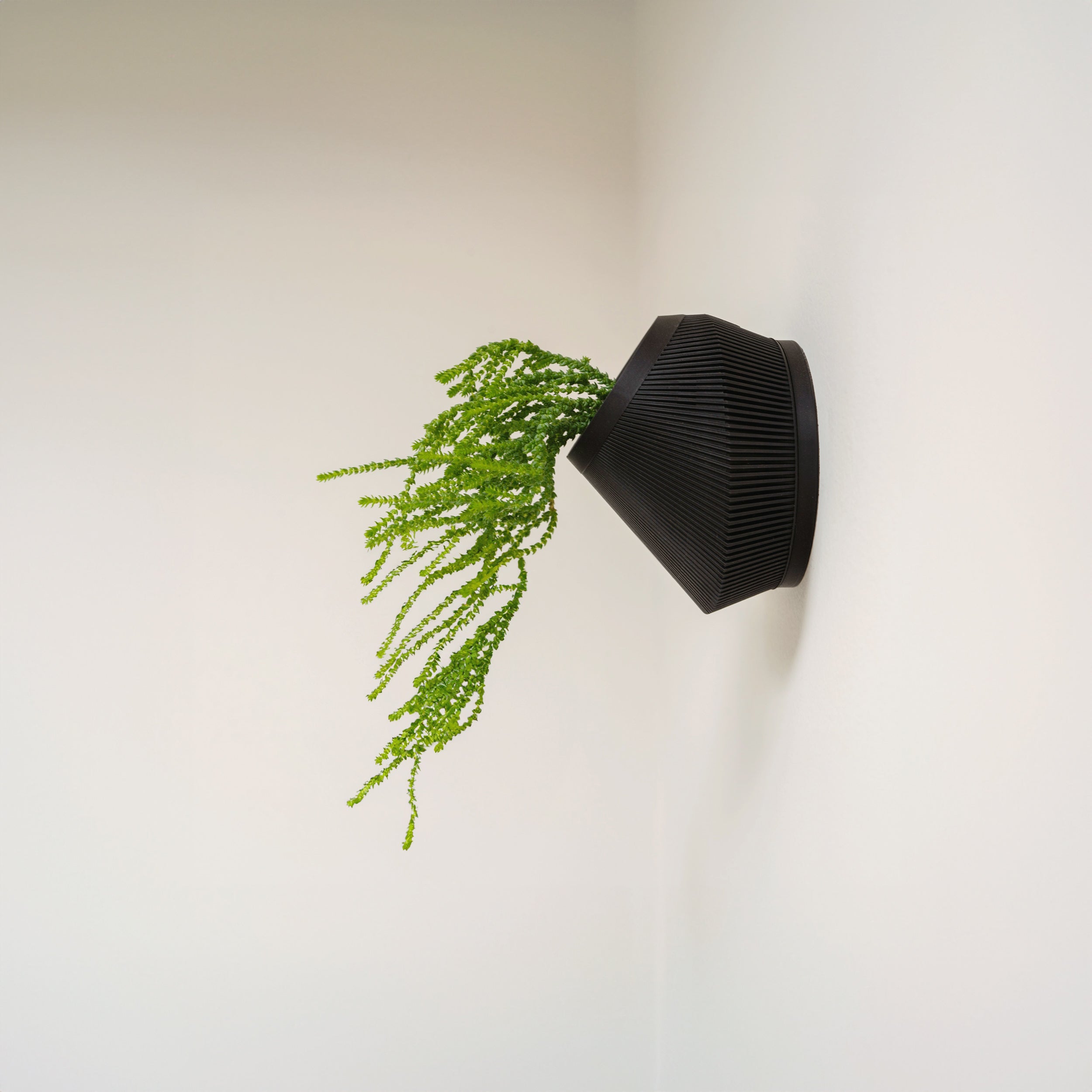 plant pot wall mount BEVEL SELF-WATERING WALL MOUNT PLANTER