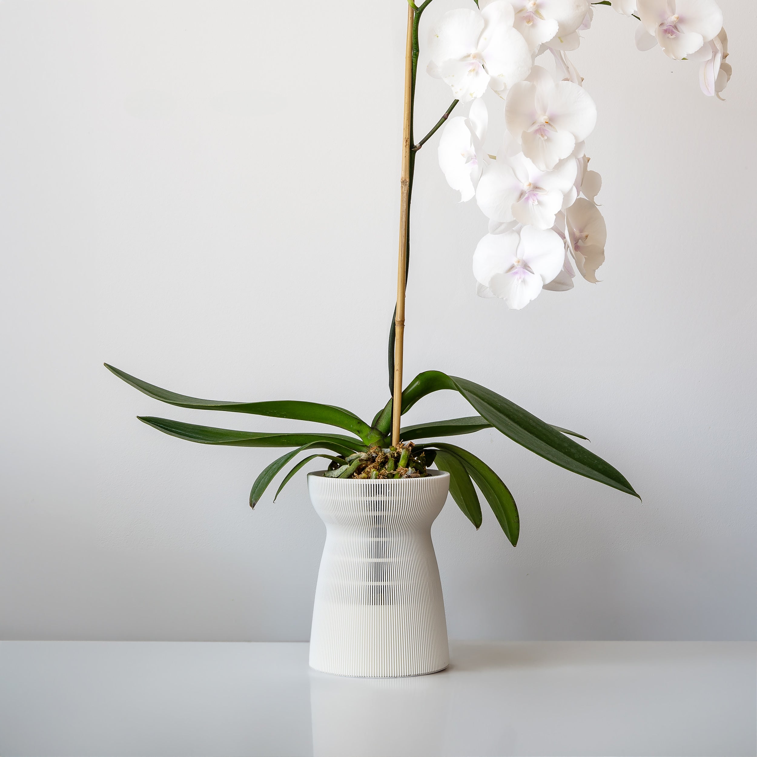 HANAIRE SELF-WATERING PLANTER - VerdiPot