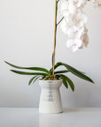 HANAIRE SELF-WATERING PLANTER - VerdiPot