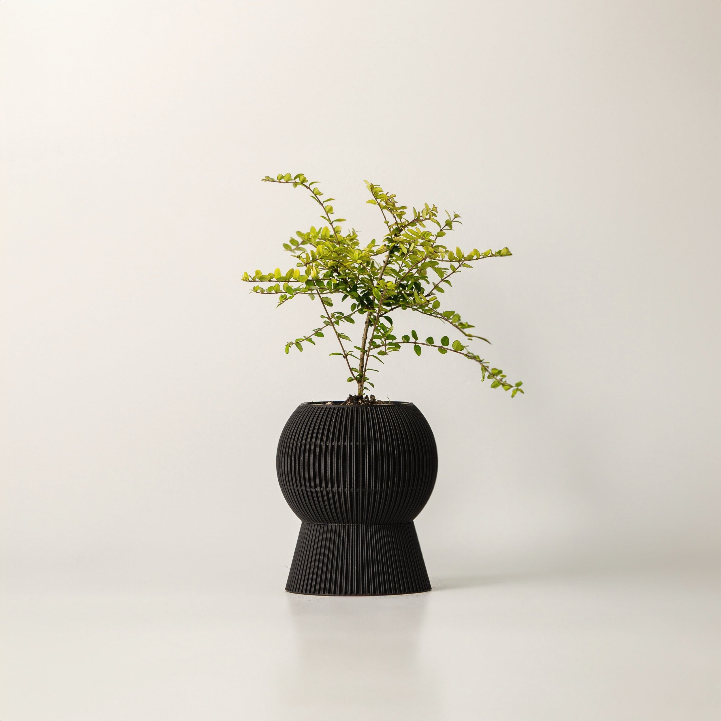 BALLOON SELF-WATERING PLANTER - VerdiPot