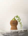 BALLOON SELF-WATERING PLANTER - VerdiPot
