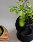 BALLOON SELF-WATERING PLANTER - VerdiPot