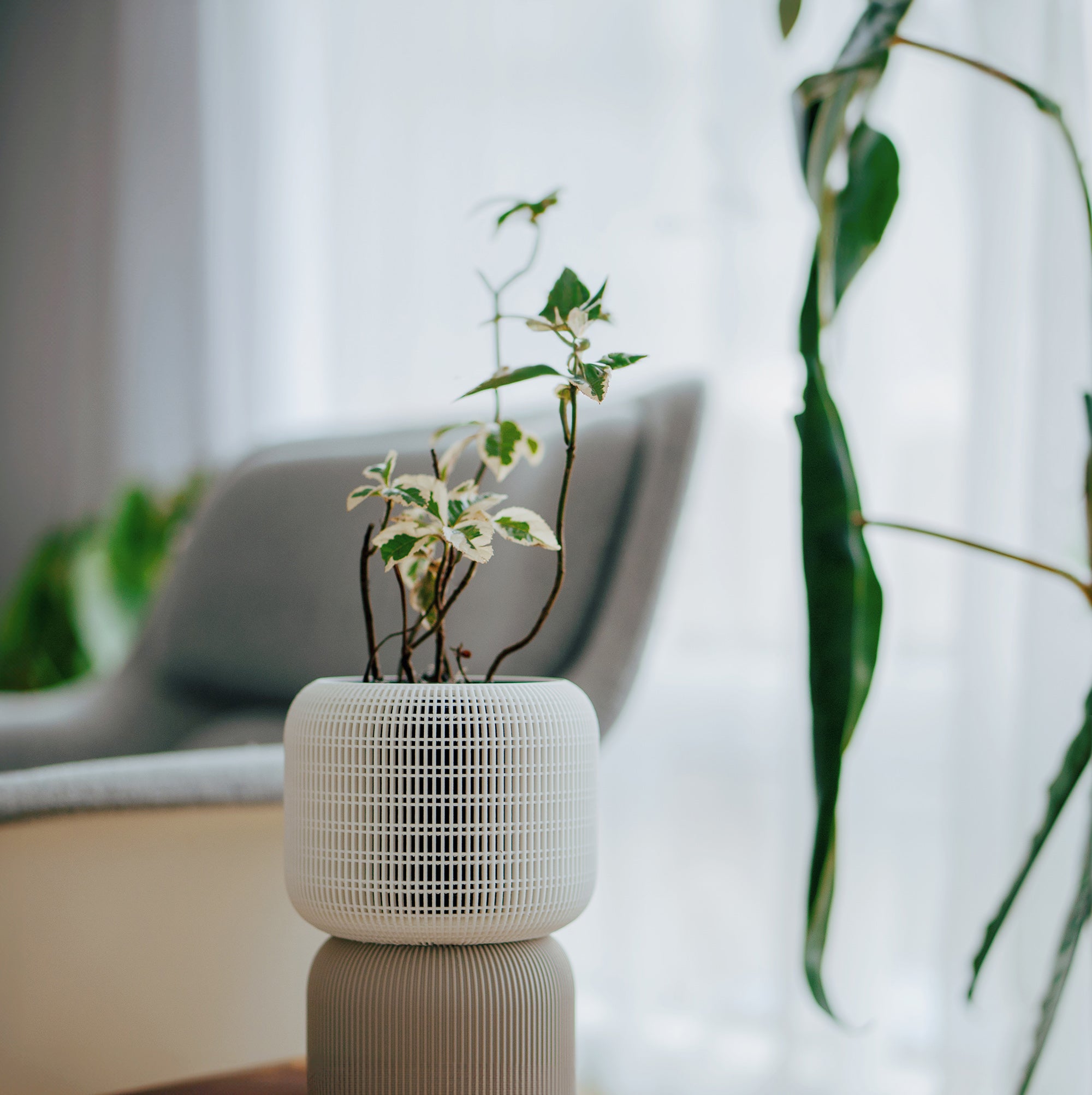 pot inside planter VerdiPot® Cocoon Self-Watering & Air Pruning Planter