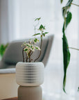 COCOON SELF-WATERING PLANTER - VerdiPot