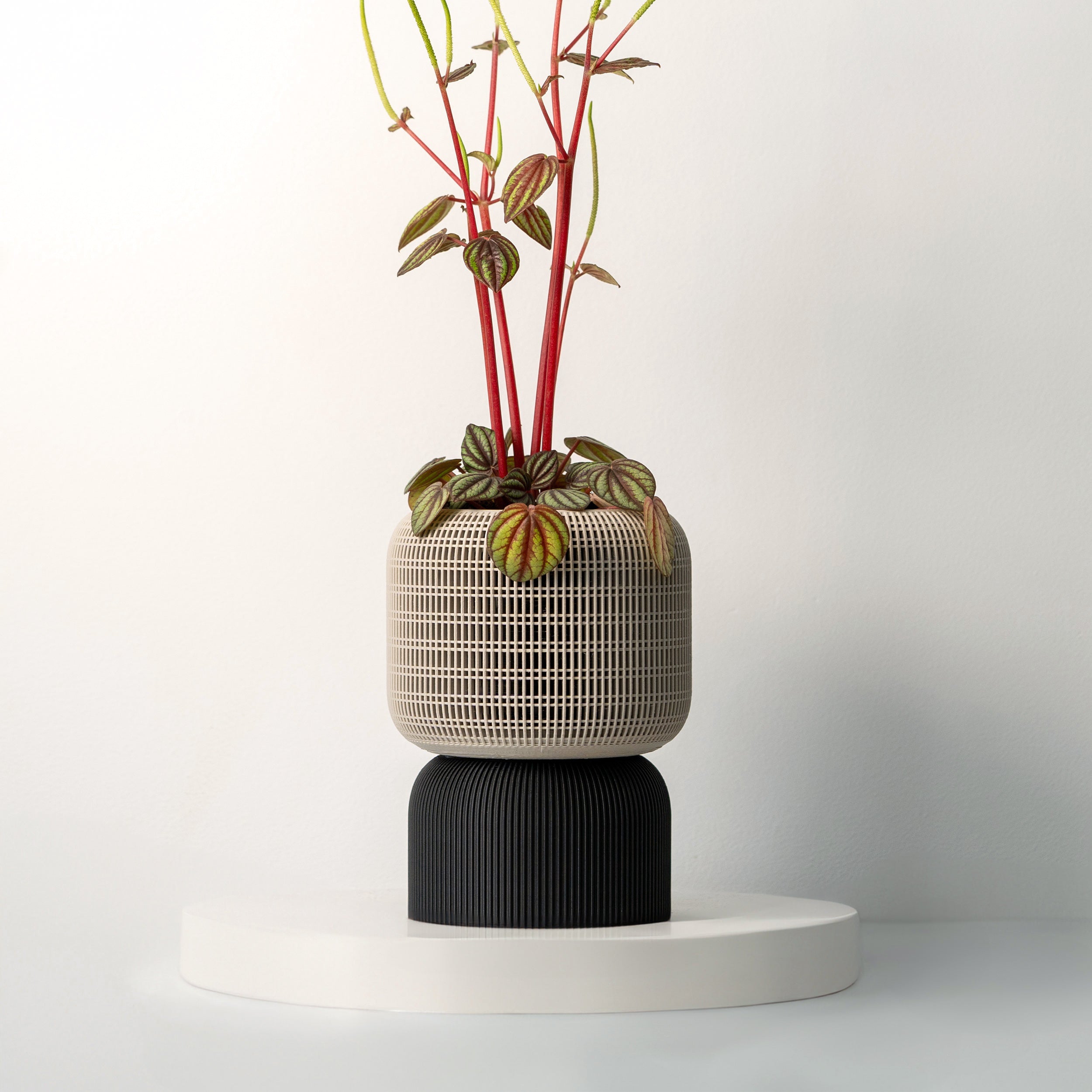 COCOON SELF-WATERING PLANTER - VerdiPot