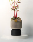 COCOON SELF-WATERING PLANTER - VerdiPot