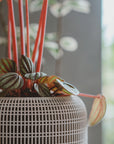 COCOON SELF-WATERING PLANTER - VerdiPot