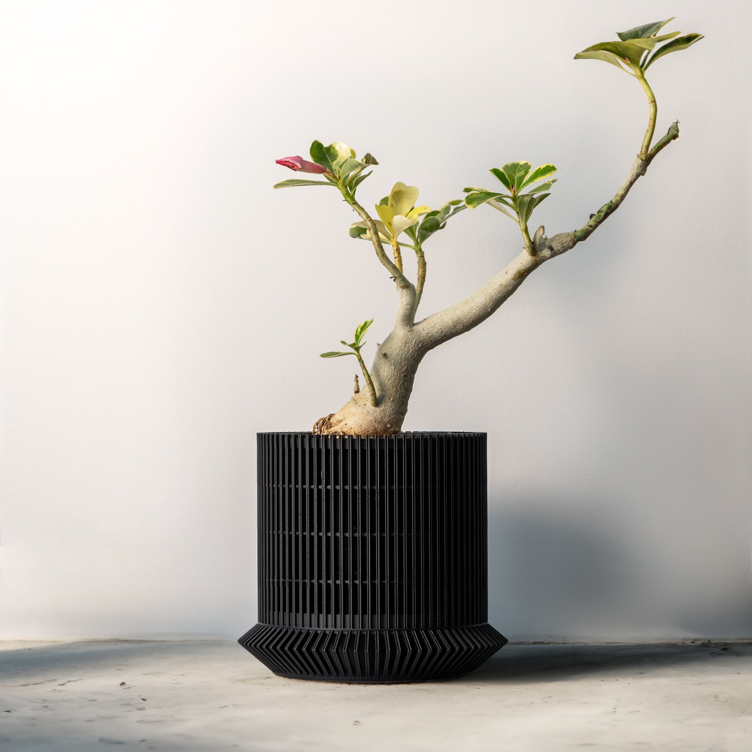 KOSHIDO SELF-WATERING PLANTER - VerdiPot