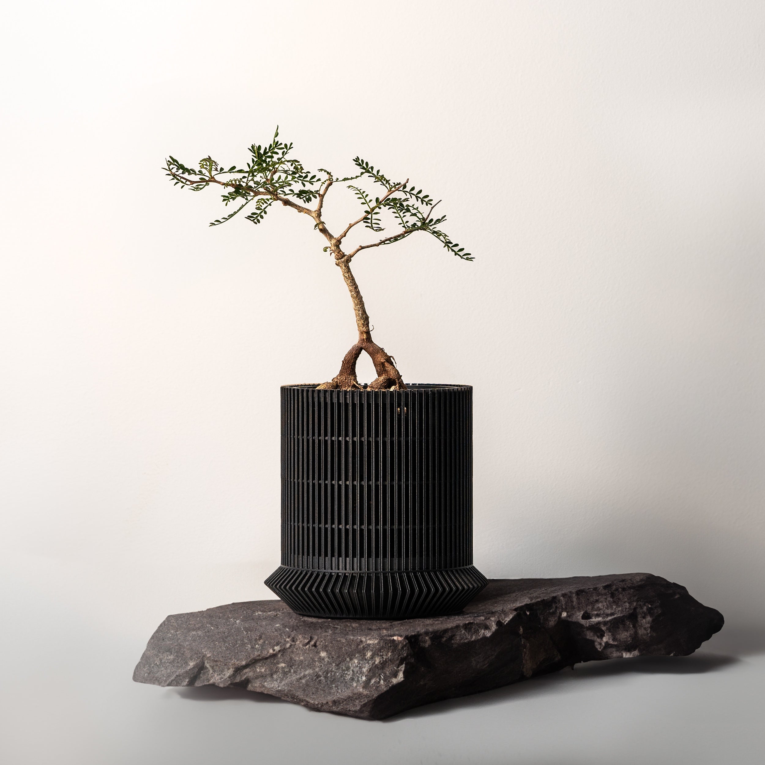KOSHIDO SELF-WATERING PLANTER - VerdiPot