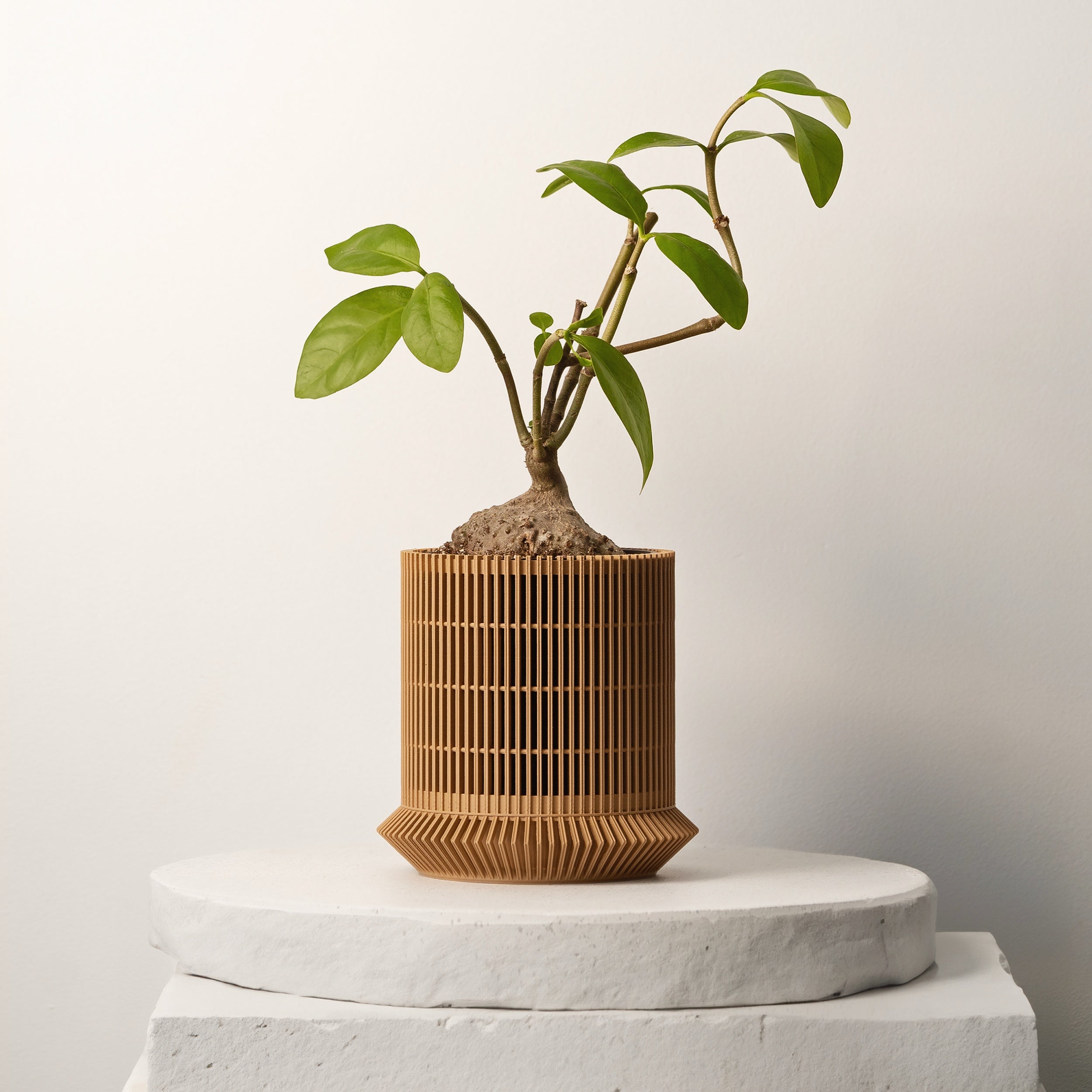 KOSHIDO SELF-WATERING PLANTER - VerdiPot