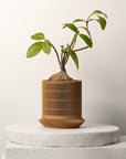 KOSHIDO SELF-WATERING PLANTER - VerdiPot