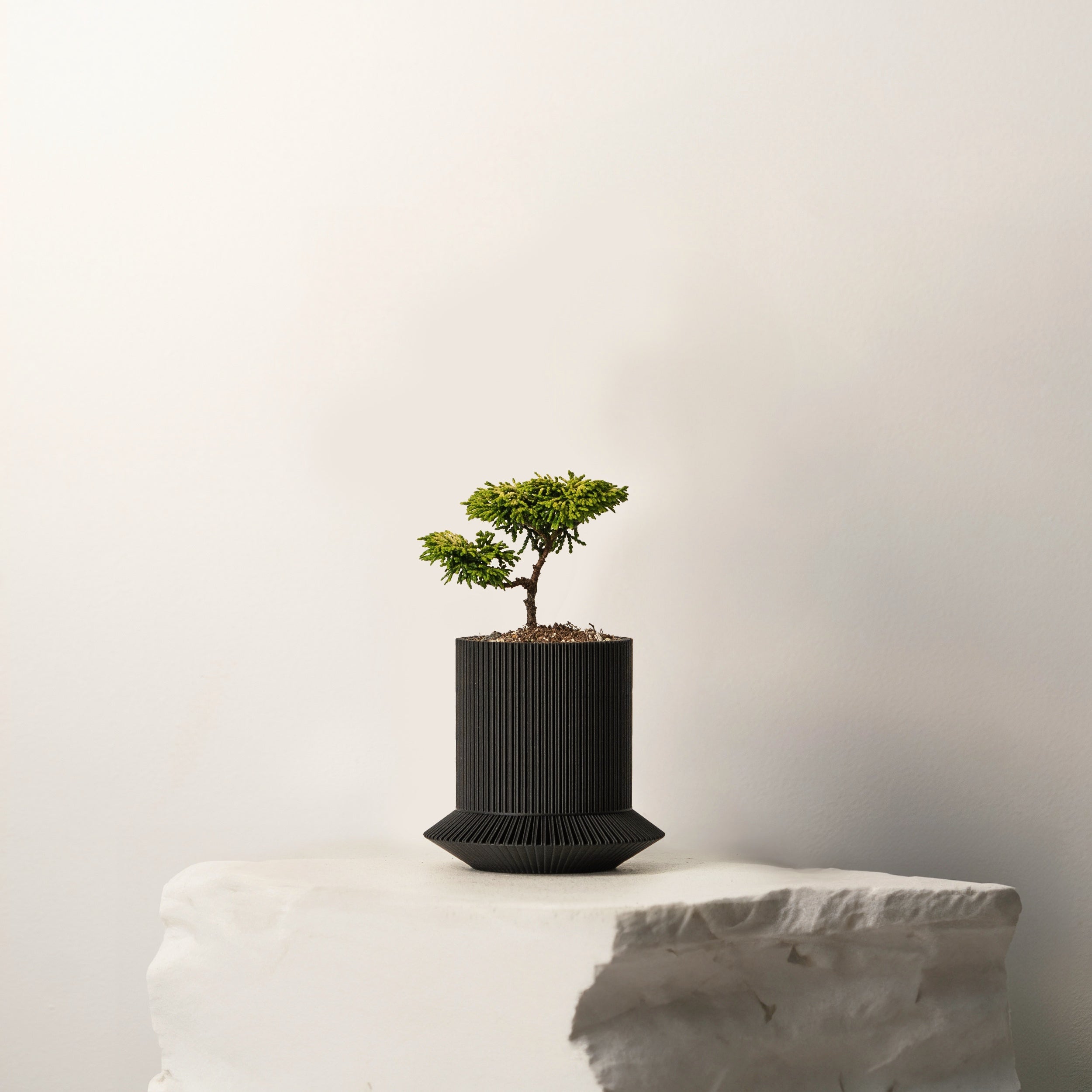 KOSHIDO SELF-WATERING PLANTER - VerdiPot