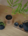 KOSHIDO SELF-WATERING PLANTER - VerdiPot