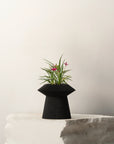 REVOLVE SELF-WATERING PLANTER - VerdiPot