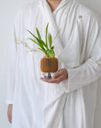 PEBBLE SELF-WATERING & AIR PRUNING PLANTER - WOOD BROWN - VerdiPot