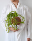 ORB SELF-WATERING & AIR PRUNING PLANTER - WOOD BROWN - VerdiPot