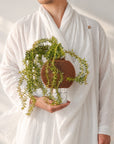 ORB SELF-WATERING & AIR PRUNING PLANTER - WOOD BROWN - VerdiPot