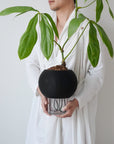 ORB SELF-WATERING & AIR PRUNING PLANTER - BLACK - VerdiPot