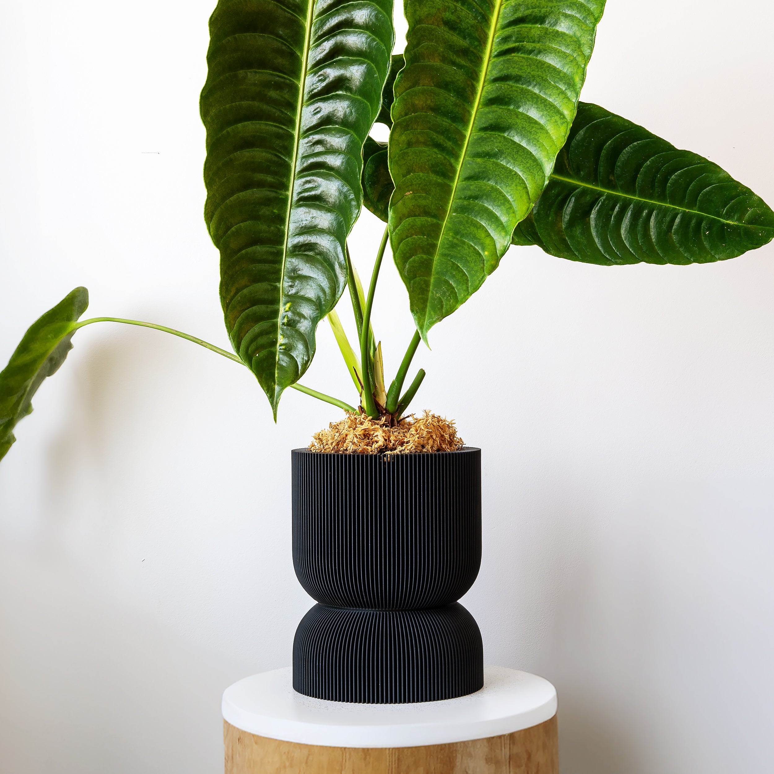 REFLECTION SELF-WATERING PLANTER - VerdiPot
