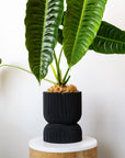 REFLECTION SELF-WATERING PLANTER - VerdiPot