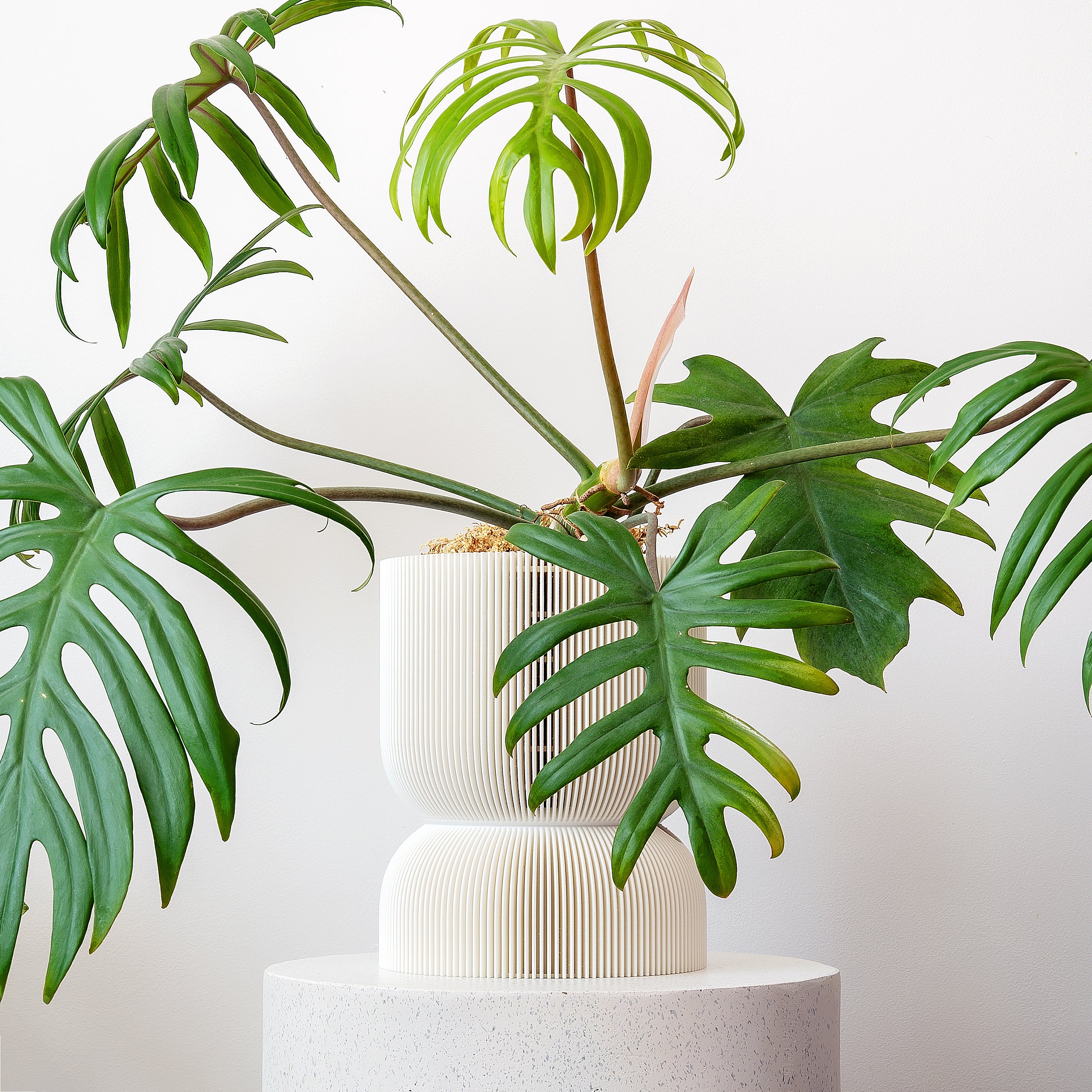 REFLECTION SELF-WATERING PLANTER - VerdiPot