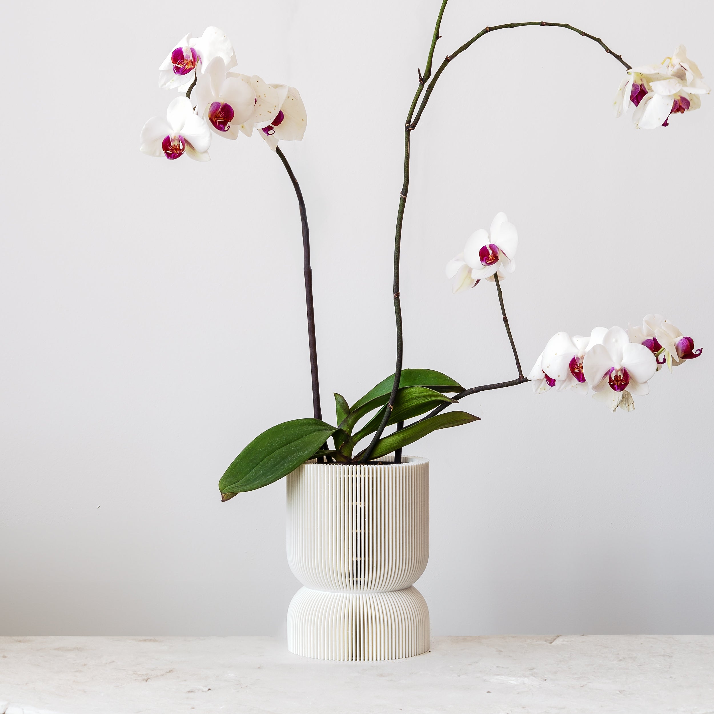 REFLECTION SELF-WATERING PLANTER - VerdiPot
