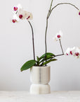 REFLECTION SELF-WATERING PLANTER - VerdiPot