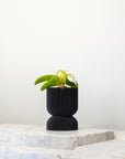 REFLECTION SELF-WATERING PLANTER - VerdiPot