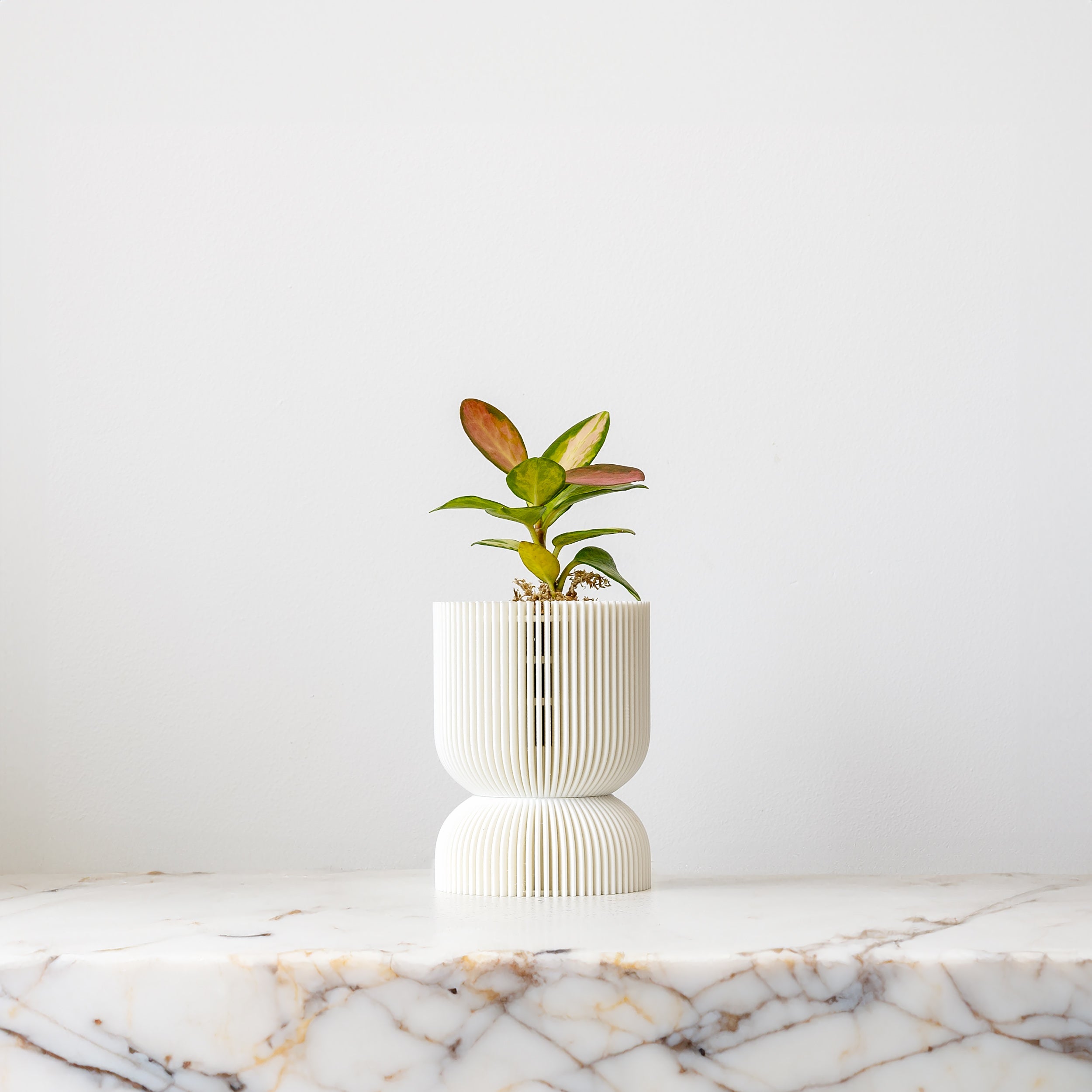 REFLECTION SELF-WATERING PLANTER - VerdiPot