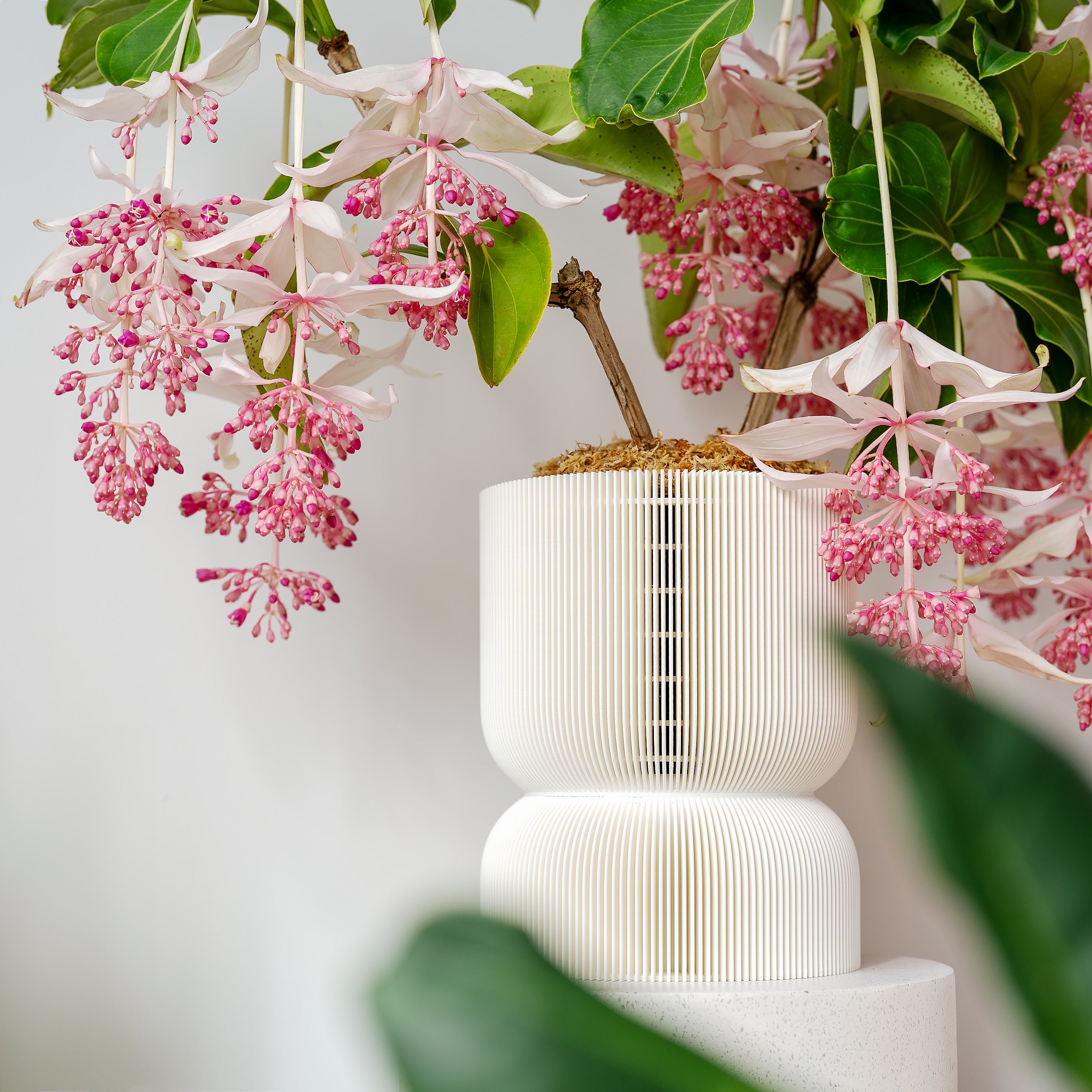 REFLECTION SELF-WATERING PLANTER - VerdiPot