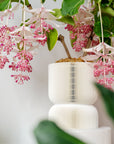 REFLECTION SELF-WATERING PLANTER - VerdiPot