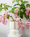 REFLECTION SELF-WATERING PLANTER - VerdiPot