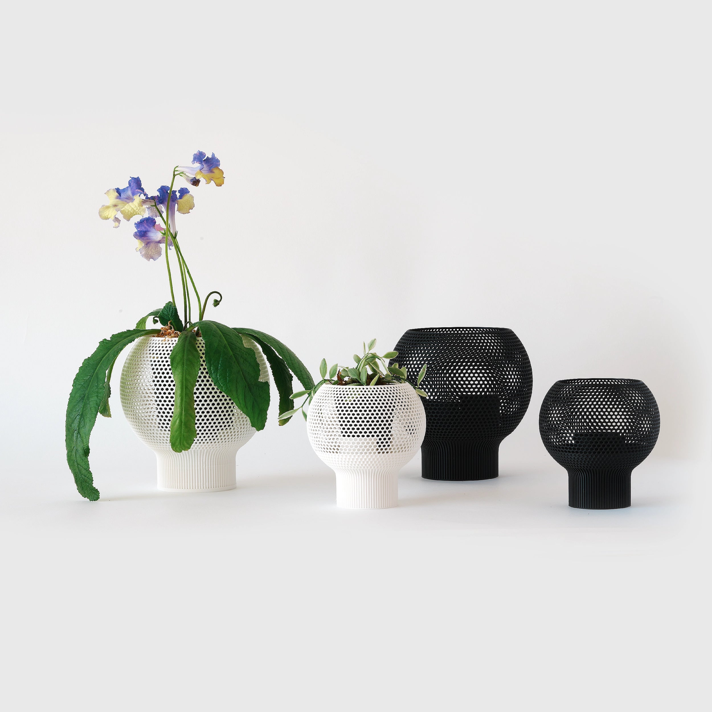 CLOUD SELF-WATERING & AIR PRUNING PLANTER - VerdiPot