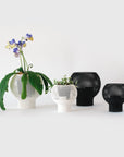 CLOUD SELF-WATERING & AIR PRUNING PLANTER - VerdiPot