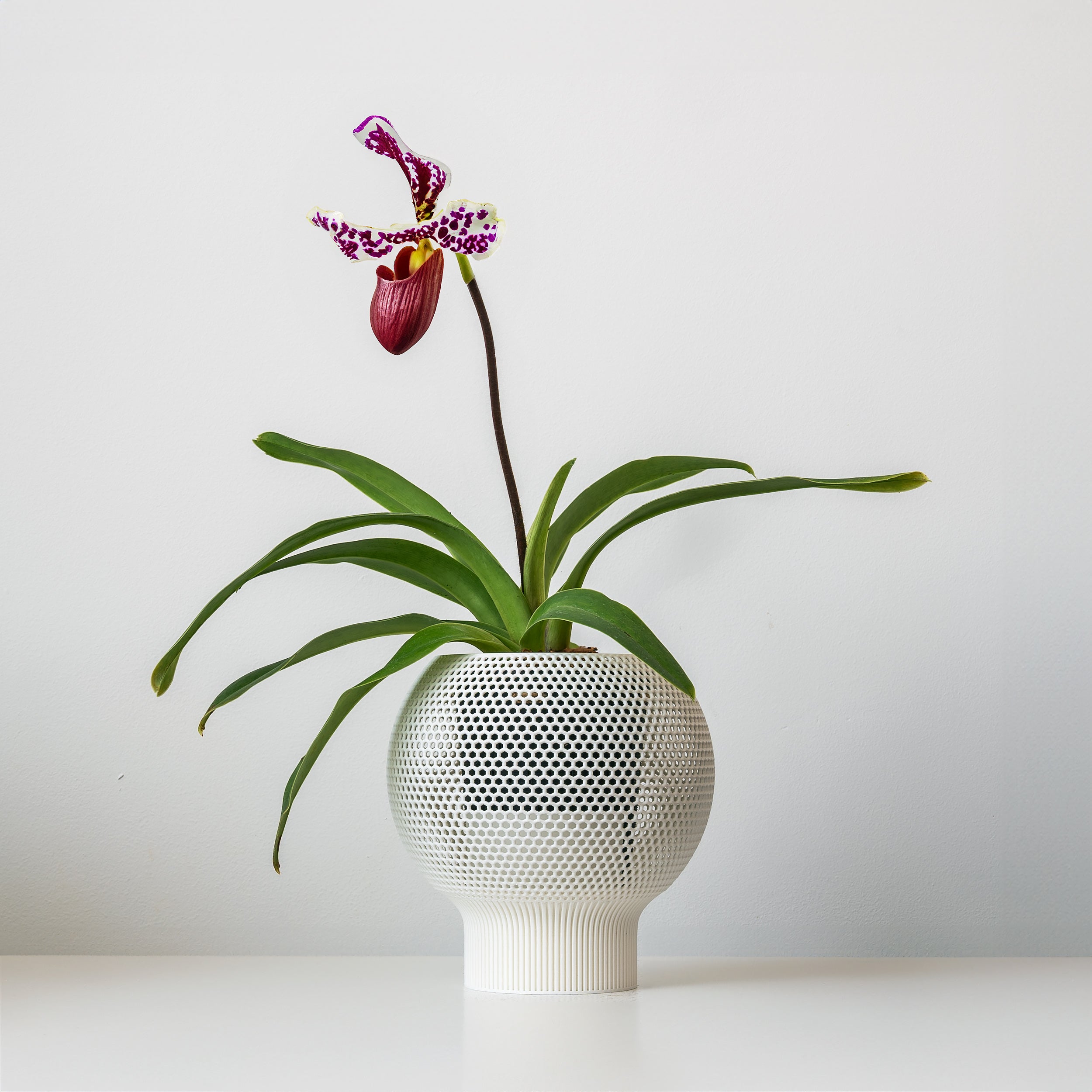 CLOUD SELF-WATERING PLANTER - VerdiPot