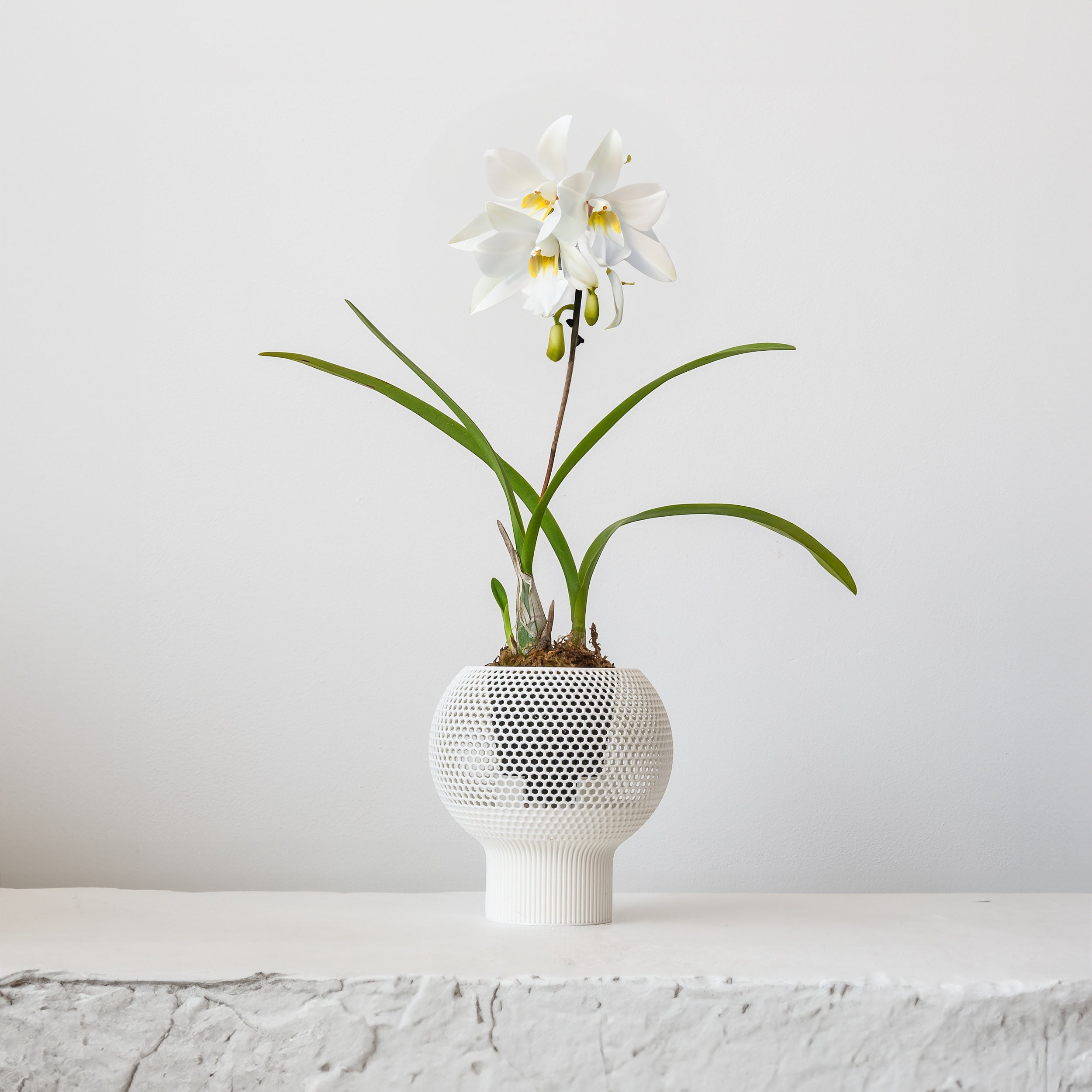 CLOUD SELF-WATERING PLANTER - VerdiPot